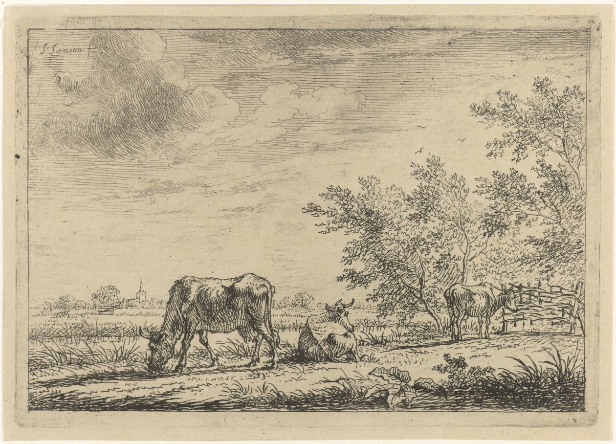 Três vacas em um prado de Johannes Janson
