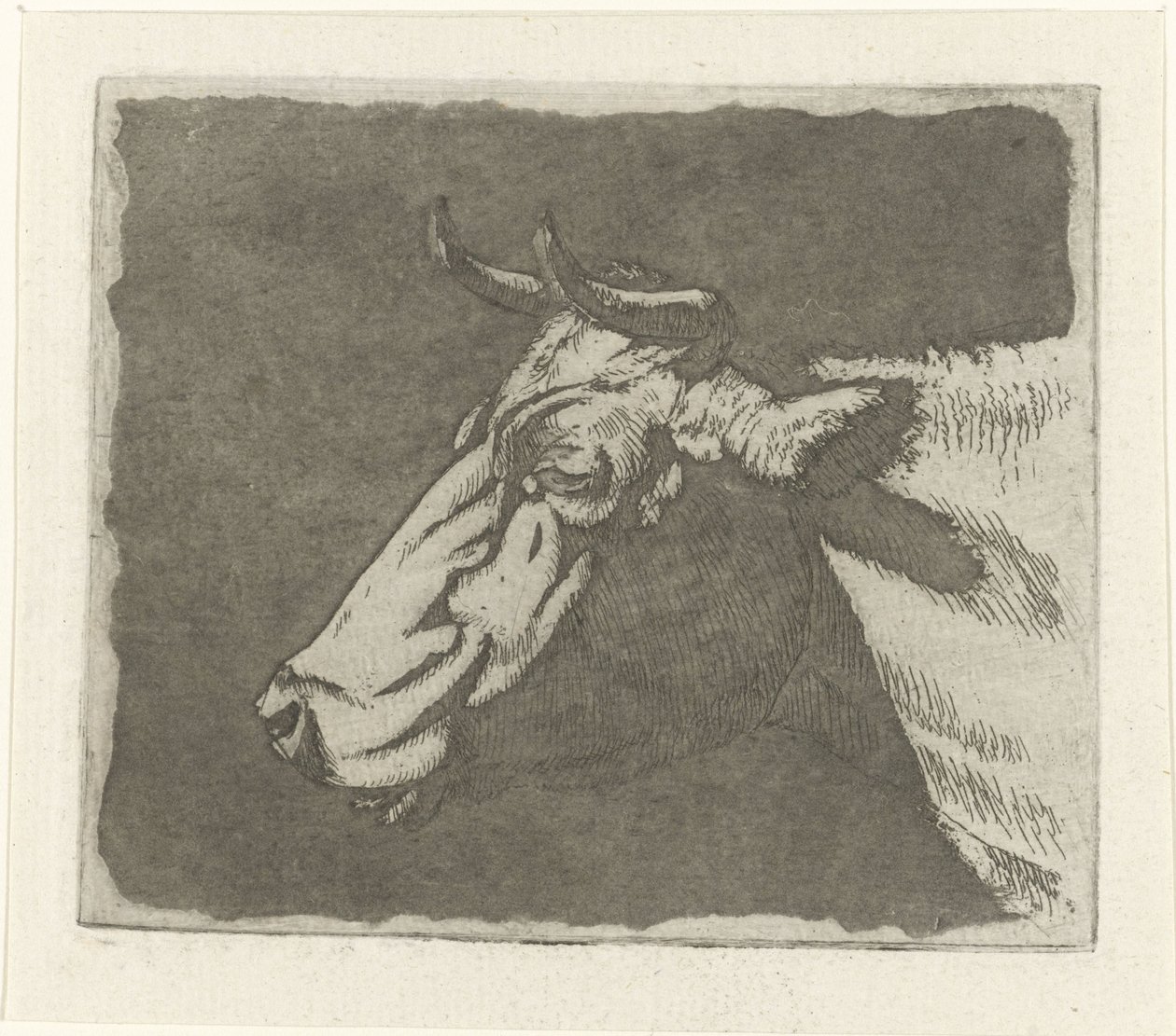 Cowhead de Johannes Janson