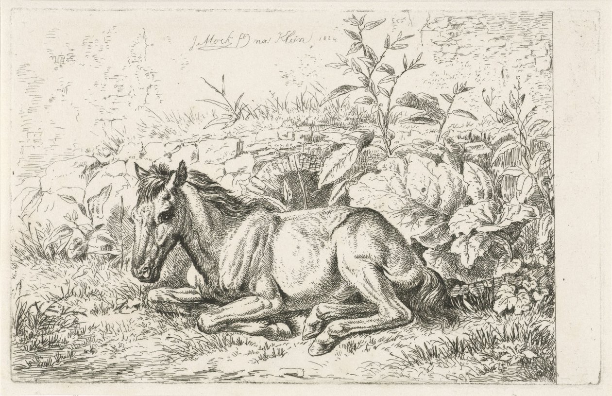 Cavalo deitado na frente de algumas plantas de Johannes Mock