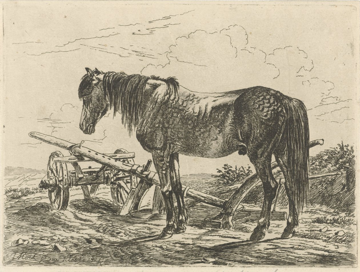 Cavalo numa charrua de Johannes Mock