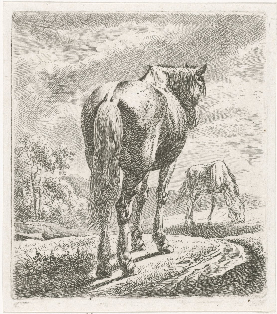 Cavalo visto por trás de Johannes Mock