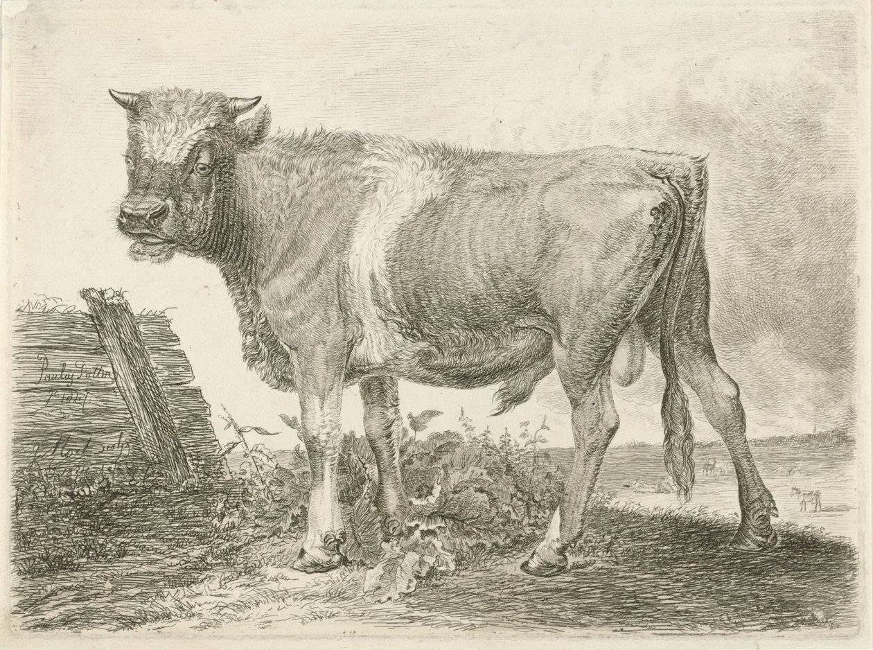 Taurus de Johannes Mock