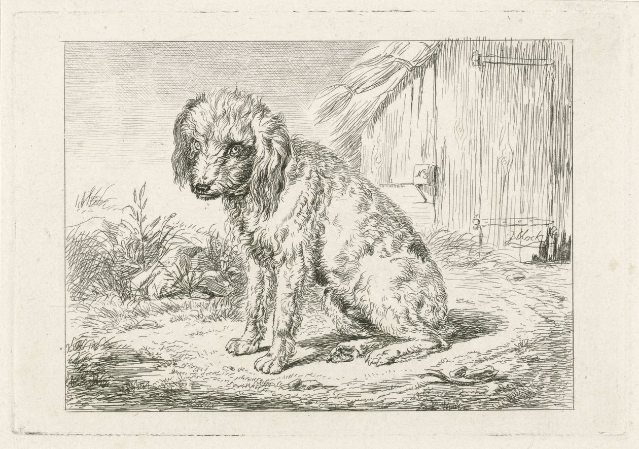 Cão sentado em um celeiro de Johannes Mock