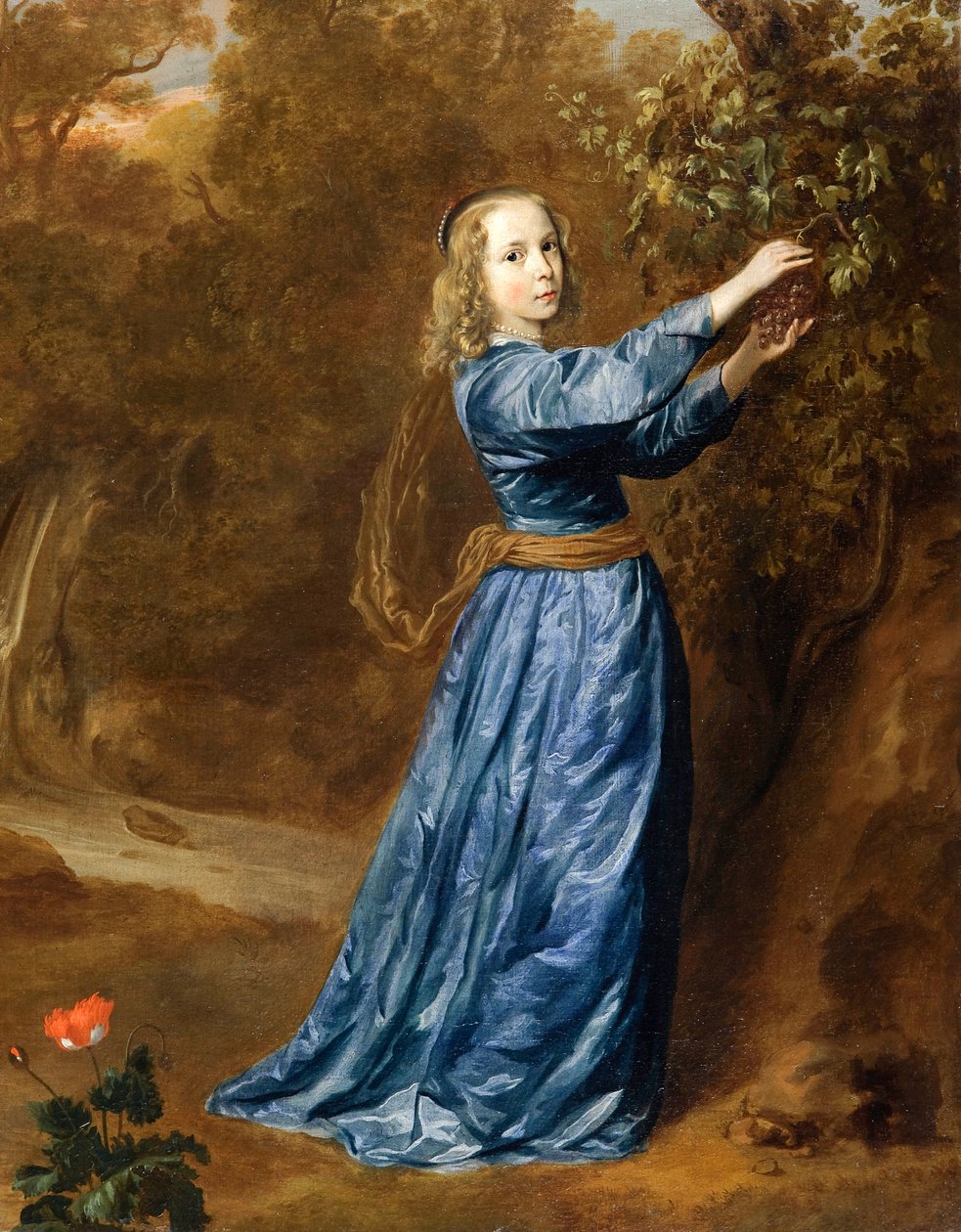 Retrato de uma rapariga a apanhar uvas de Johannes Mytens