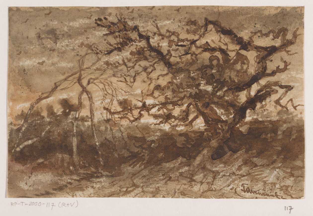 Árvore ao pôr-do-sol de Johannes Tavenraat (signed by artist)