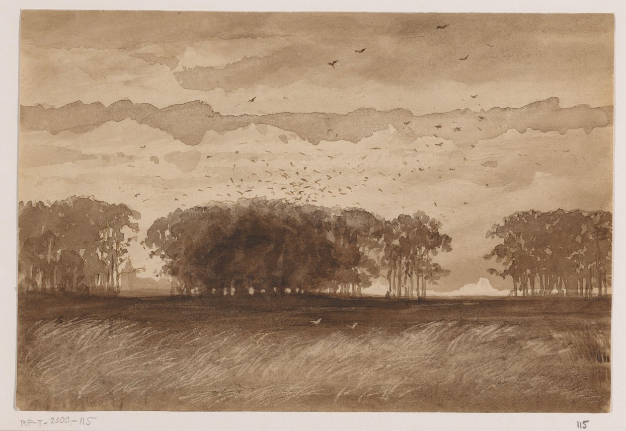 Colónia de Pike no Brabante Norte de Johannes Tavenraat (signed by artist)