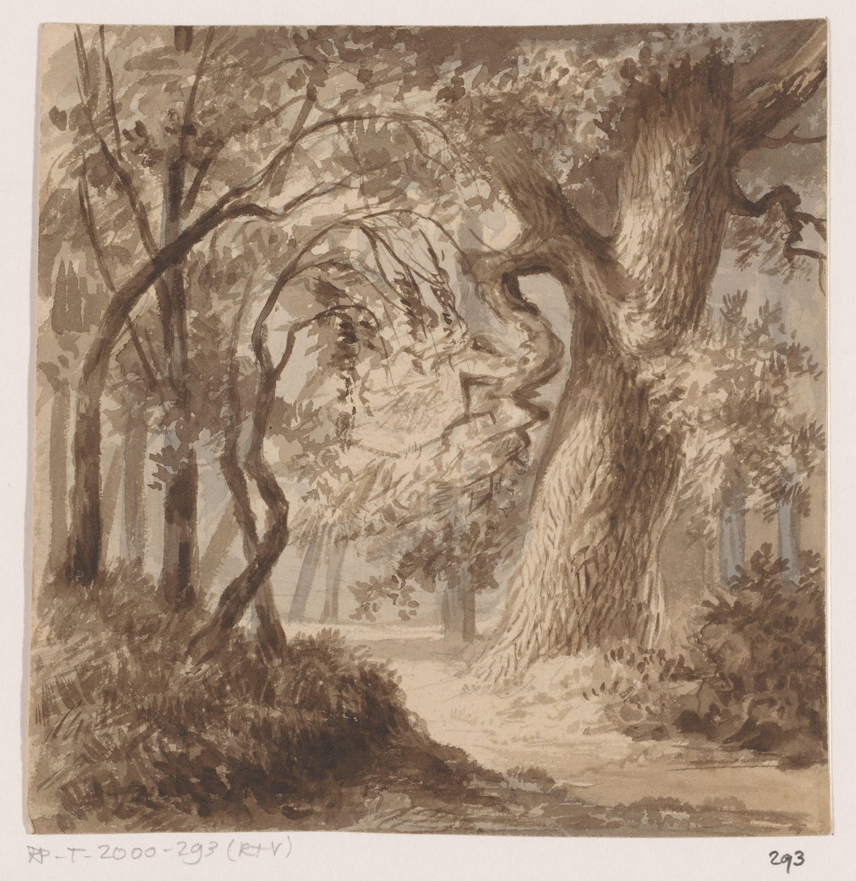 paisagem da floresta de Johannes Tavenraat