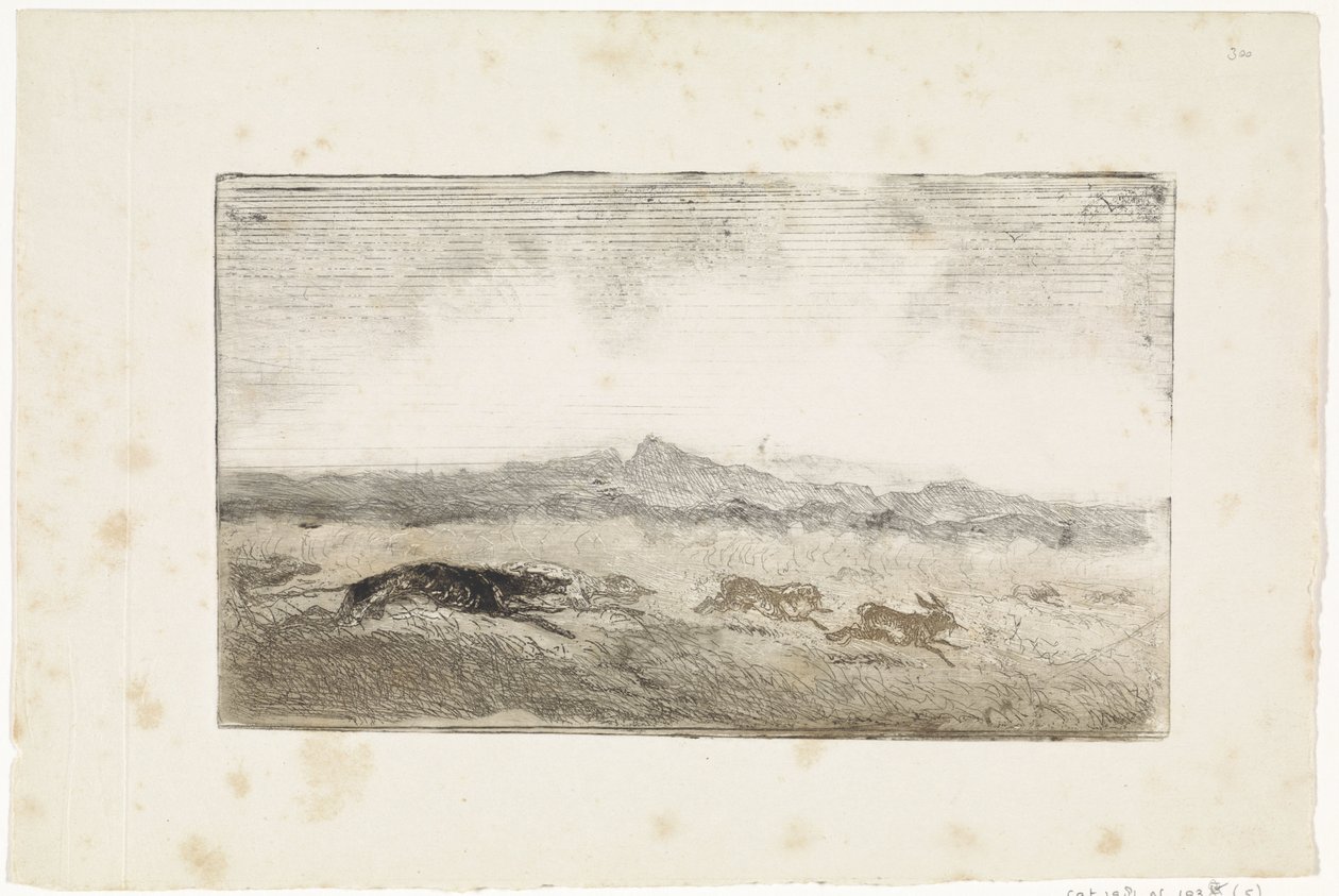 Caça à lebre de Johannes Tavenraat