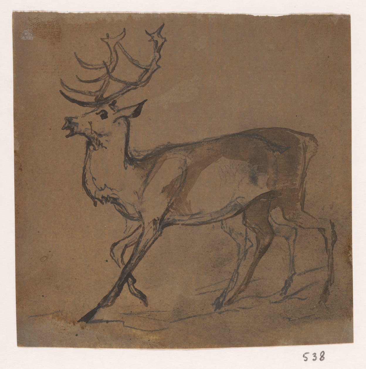 Hert de Johannes Tavenraat