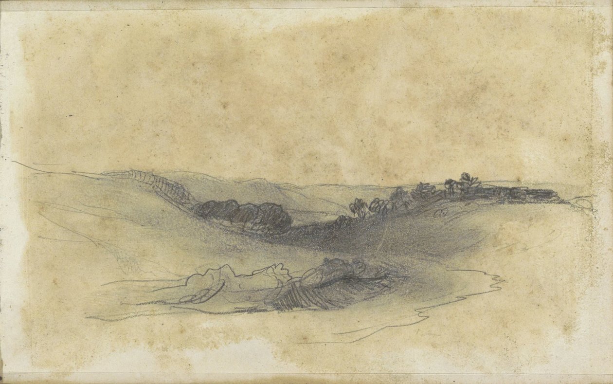 Paisagem montanhosa com árvores de Johannes Tavenraat