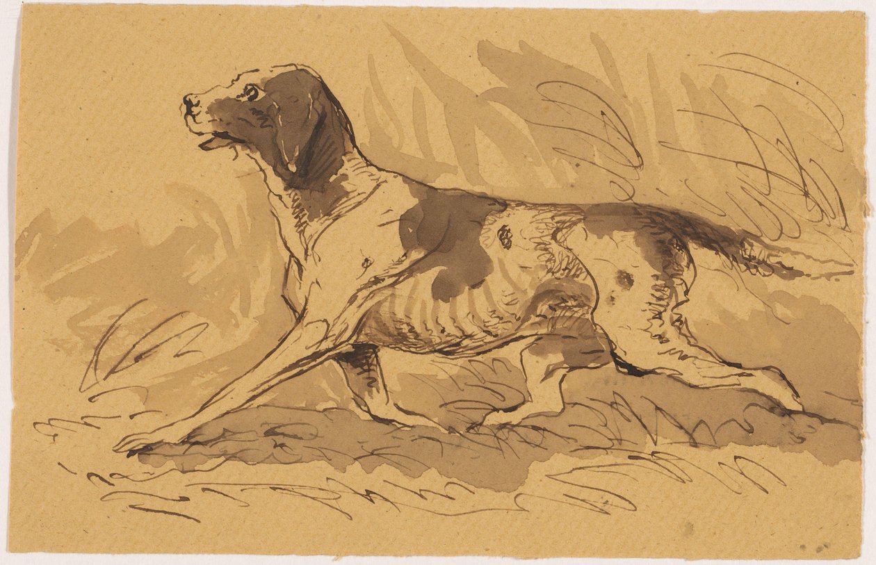 cachorro de caça de Johannes Tavenraat