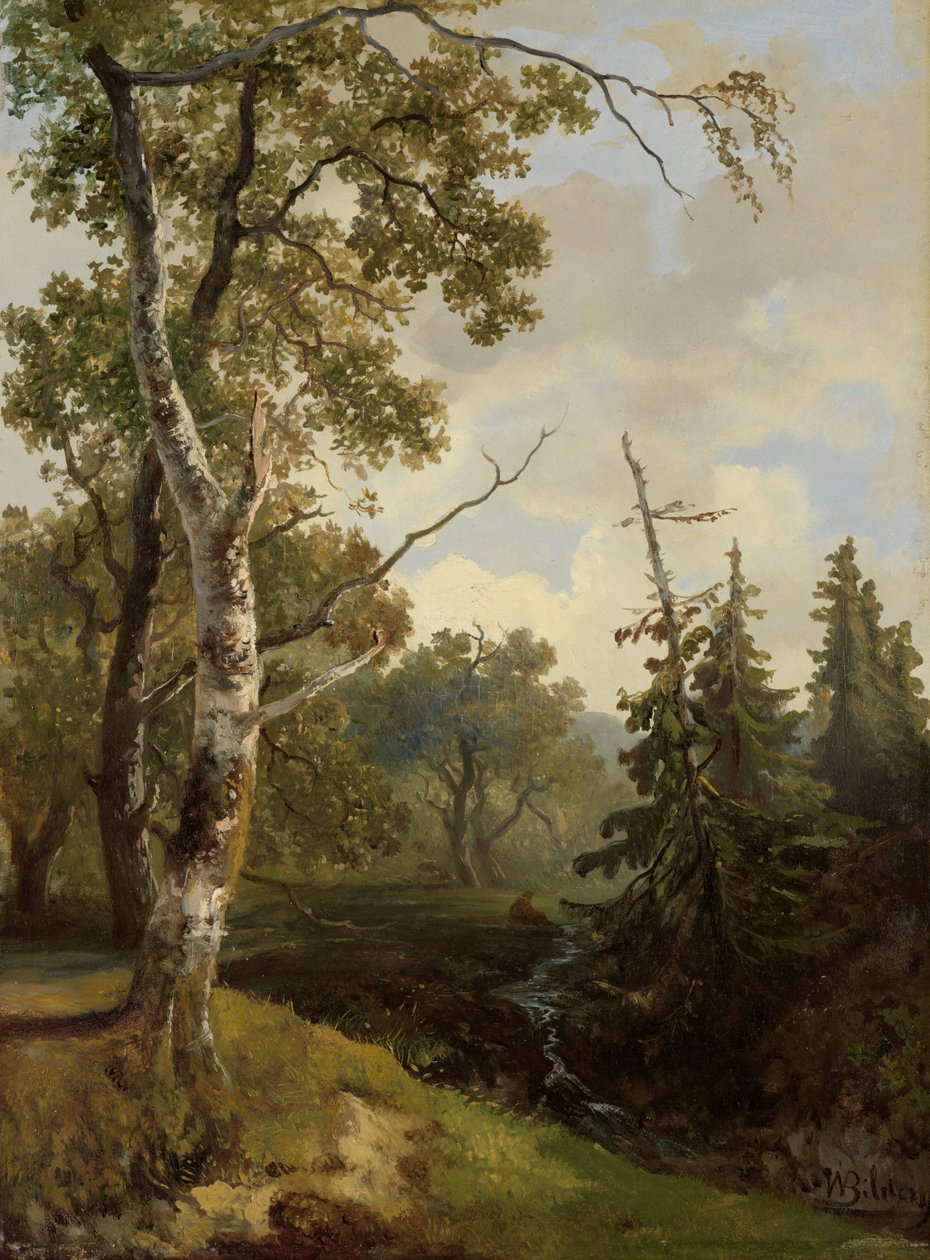 Vista da floresta perto de Wolfheze. de Johannes Warnardus Bilders
