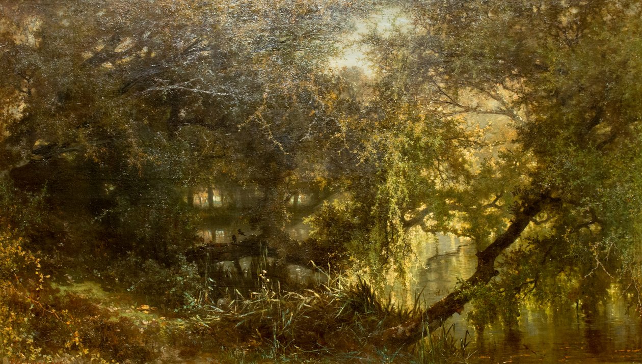 Alemão: Der Teich in Osterbeek O lago em Oosterbeek de Johannes Warnardus Bilders