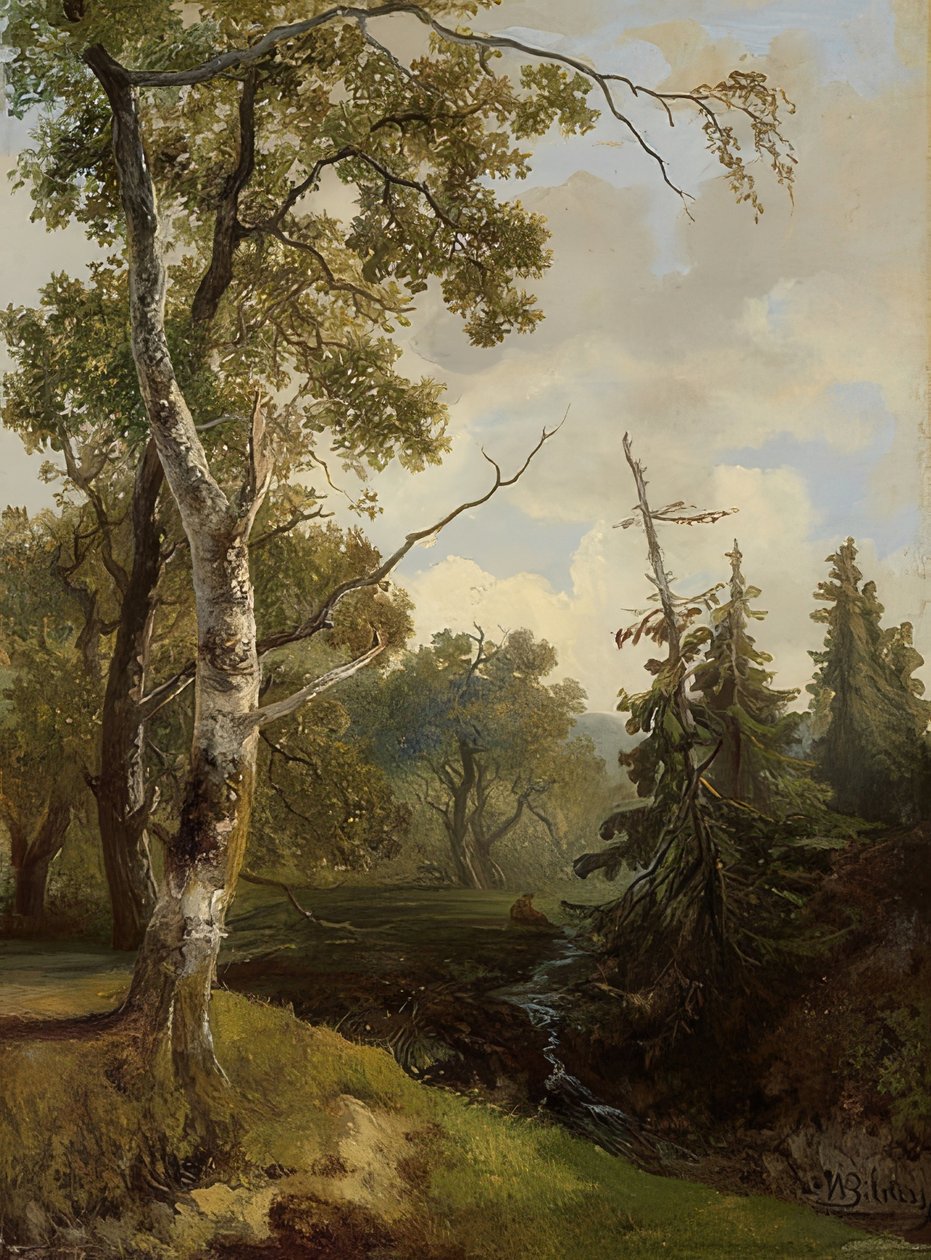 Waldstück bei Wolfheze (vista da floresta perto de Wolfheze) de Johannes Warnardus Bilders