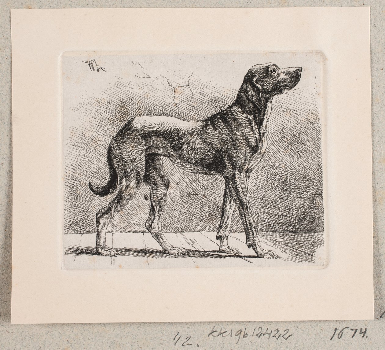 Um cão de pé de Johannes Wilhelm Zillen