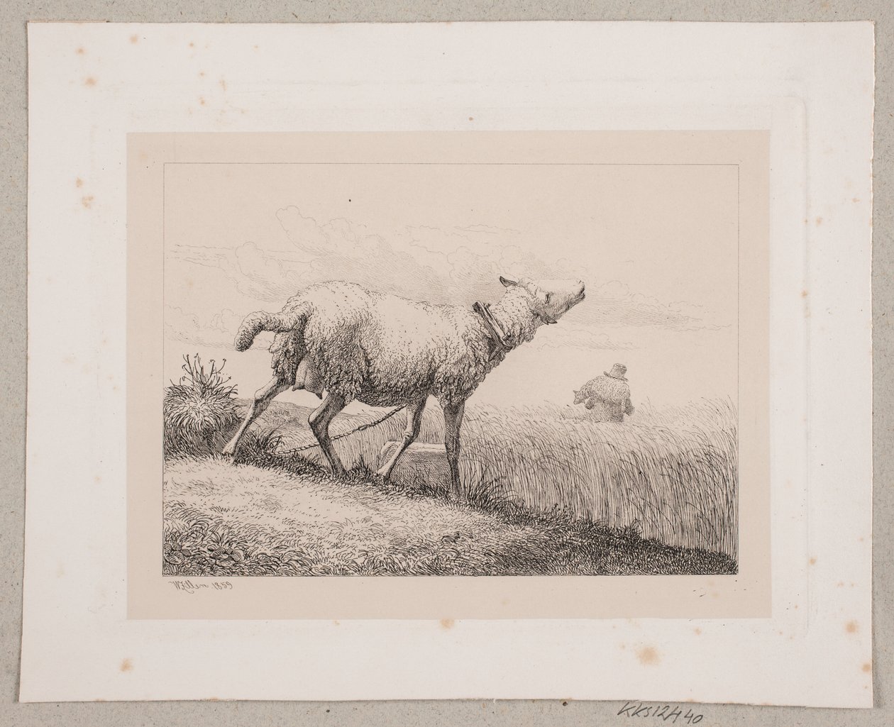 Uma ovelha balindo de Johannes Wilhelm Zillen