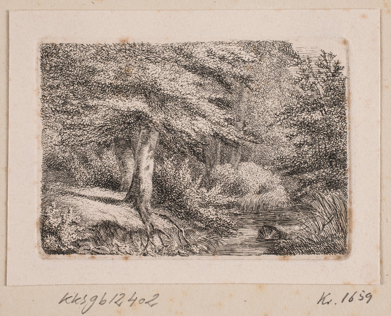 Lote da floresta de Johannes Wilhelm Zillen