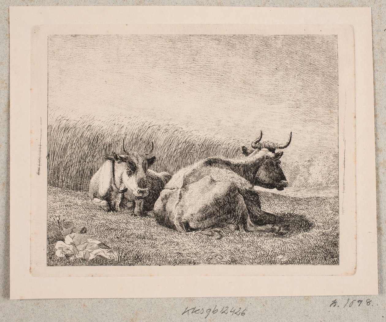 Duas vacas de descanso de Johannes Wilhelm Zillen