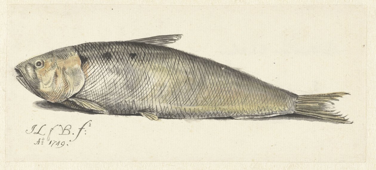 Fint de Johannes le Francq van Berkhey