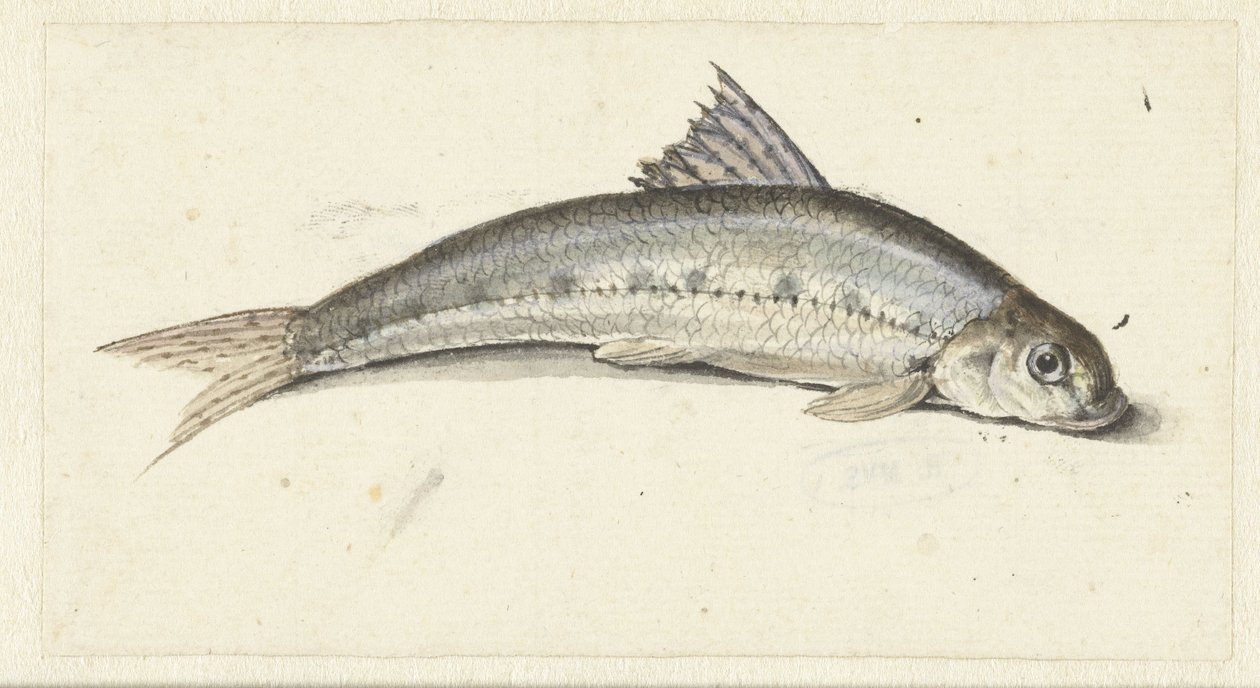 gôndola de Johannes le Francq van Berkhey