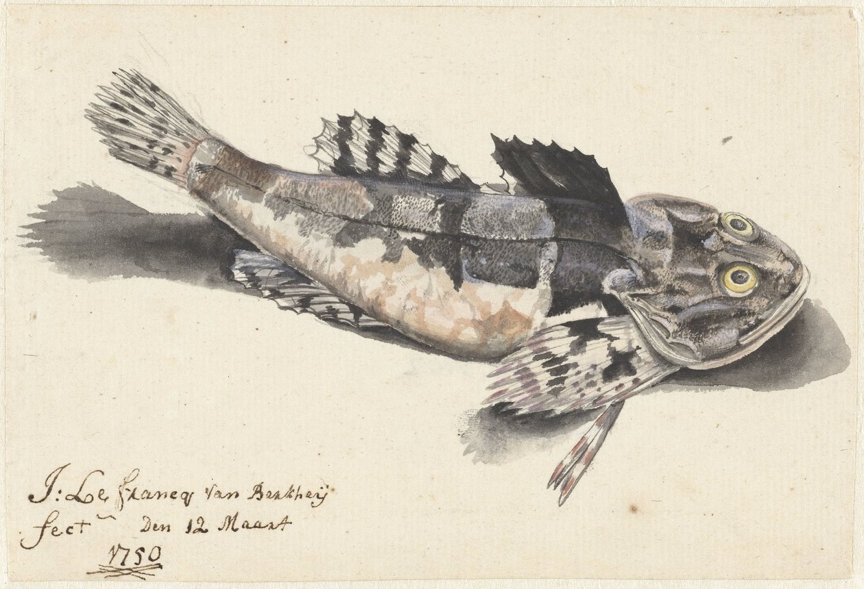 Estrada submarina de Johannes le Francq van Berkhey