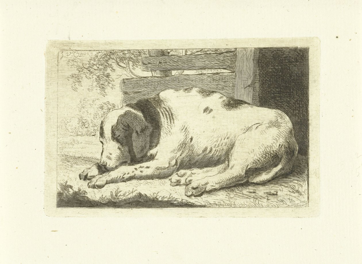 Cão adormecido de Johannes van Cuylenburgh
