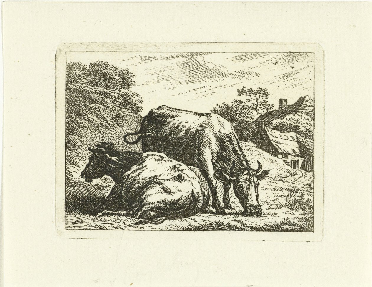 Duas vacas ao longo da estrada na fazenda de Johannes van Cuylenburgh