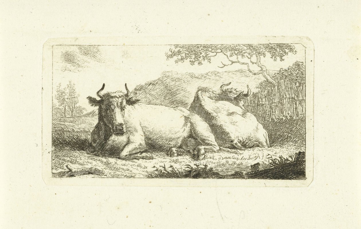 Duas vacas deitadas de Johannes van Cuylenburgh