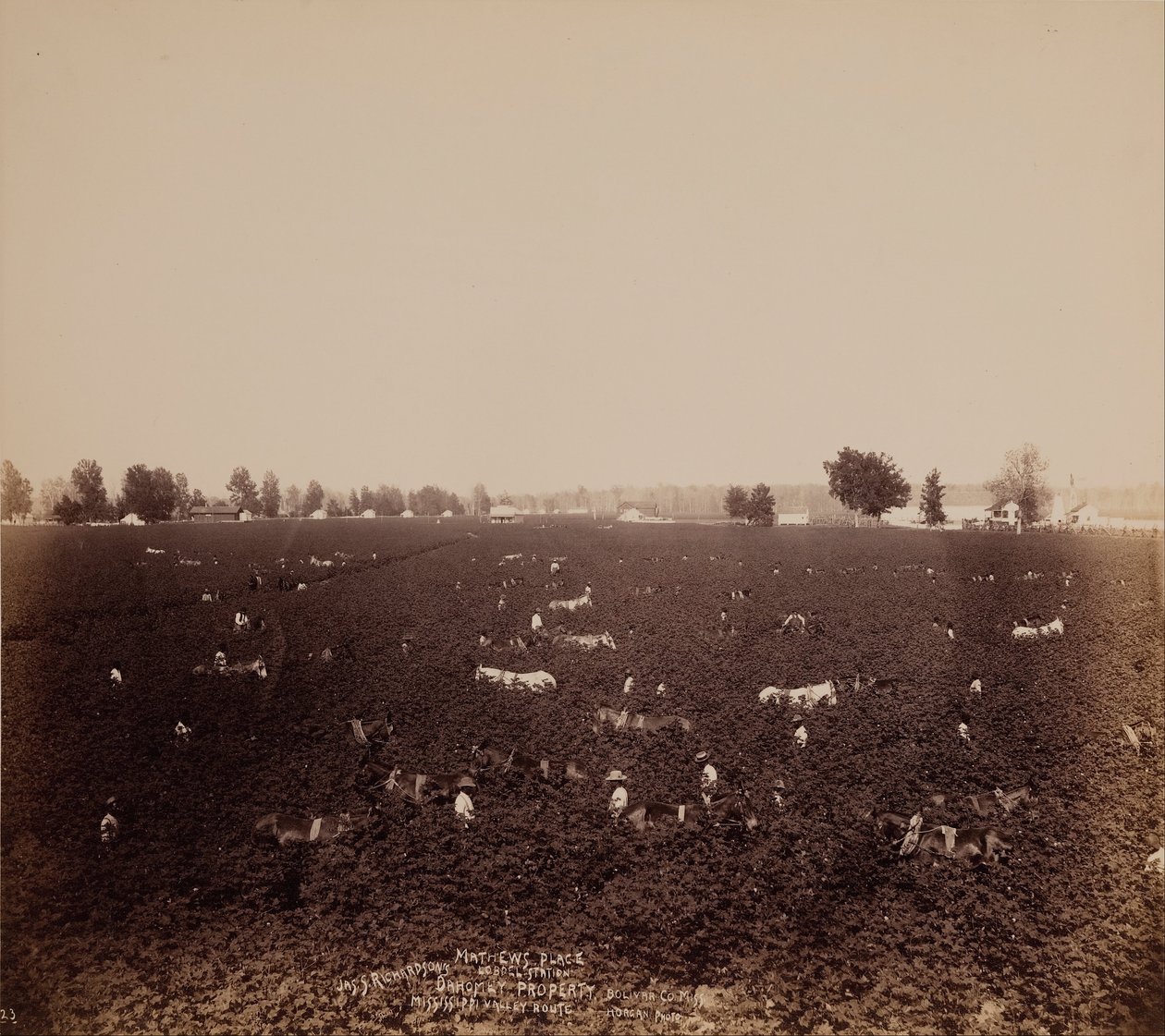 Mathews Place, Estação Lobdel, Jas. S. Richardsons Propriedade, Bolivar Co., Miss., Mississippi Valle ... de John Horgan Jr.