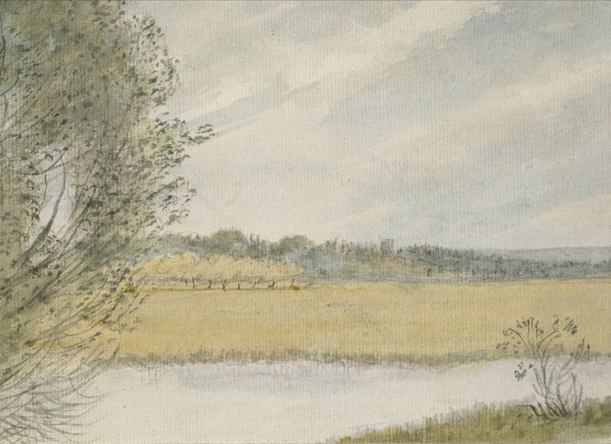 Christ Church Meadows (aquarela sobre grafite, no papel) de John Baptist Malchair