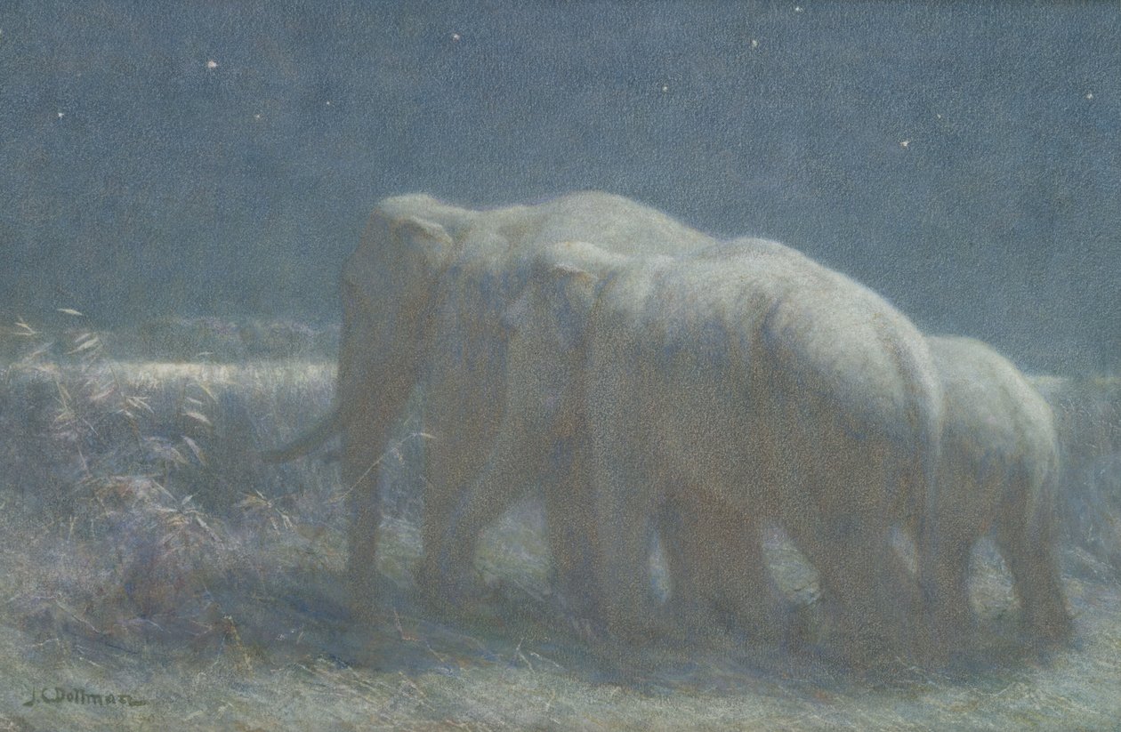 Noite, 1908 (wc e giz no papel) de John Charles Dollman