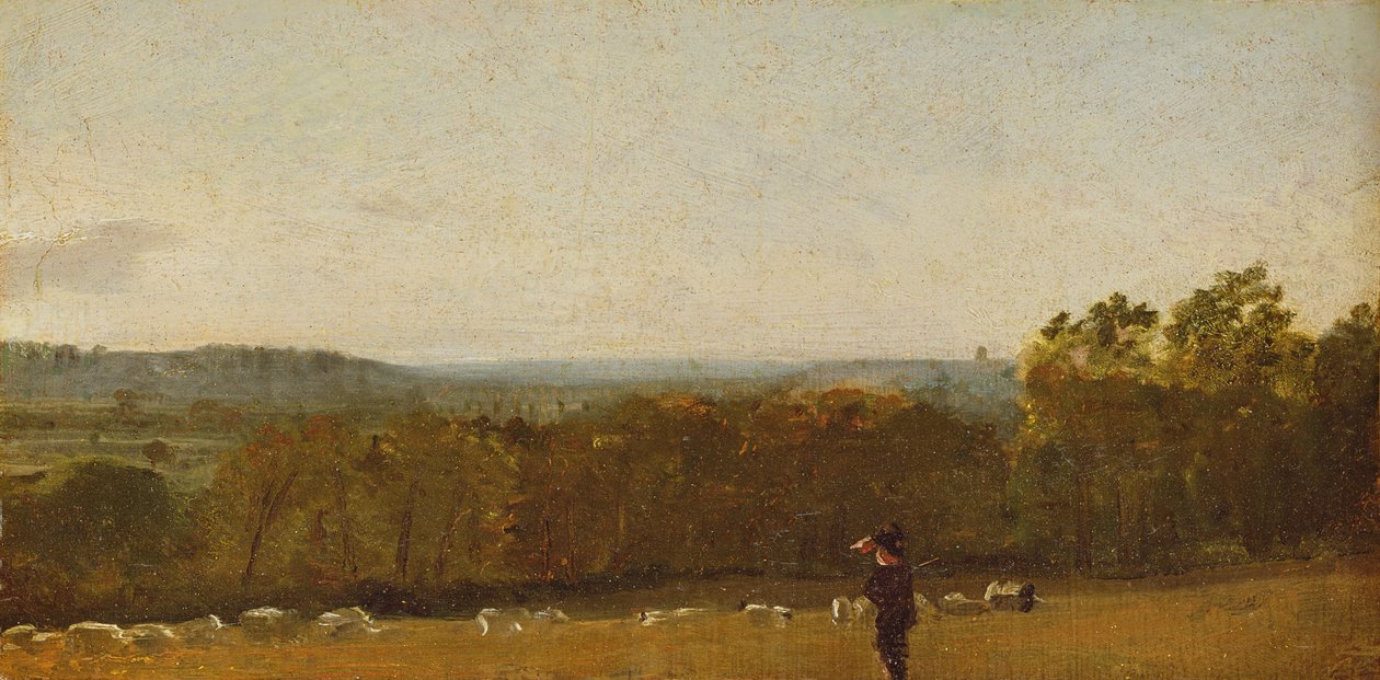Um pastor em uma paisagem olhando Dedham Vale em direção a Langham, c.1810 (óleo sobre papel colocado sobre tela) de John Constable
