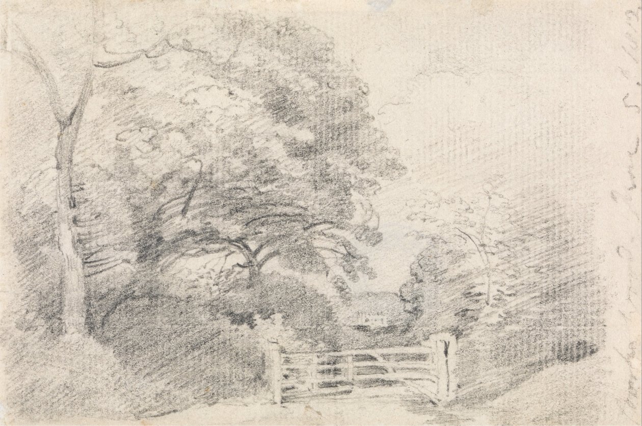 Madeira Coombe de John Constable