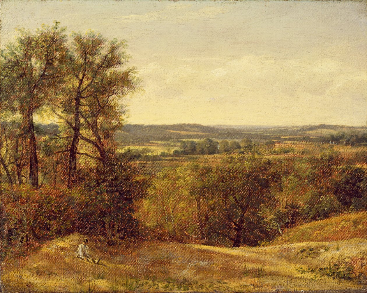 Dedham Vale, c.1802 de John Constable