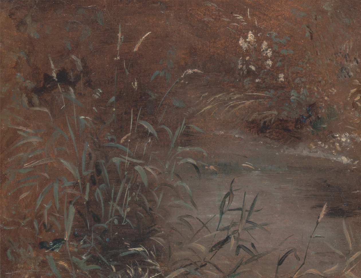 Corre por uma piscina de John Constable