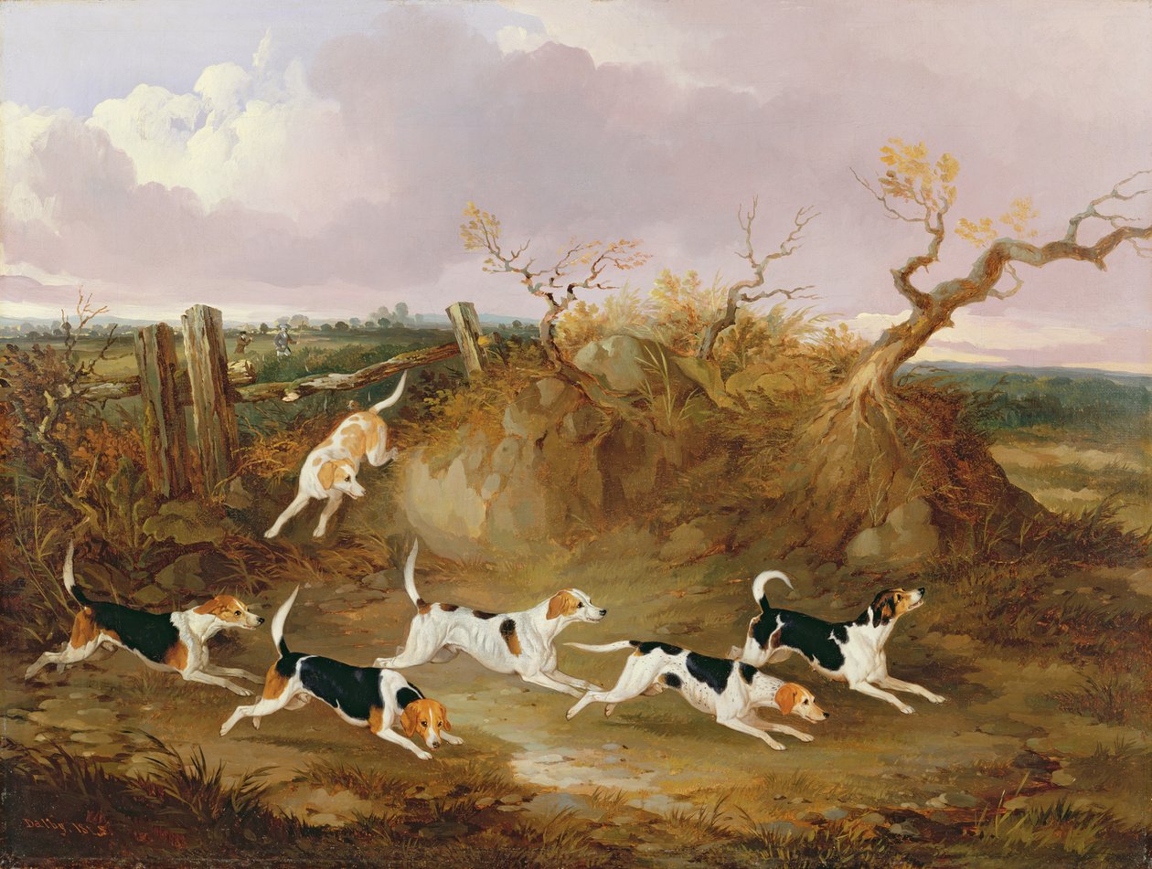 Beagles em Full Cry, 1845 de John Dalby
