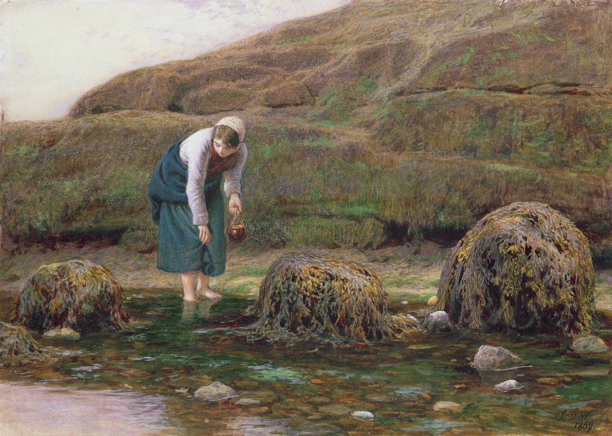 O coletor de Winkle, 1869 de John Dawson Watson