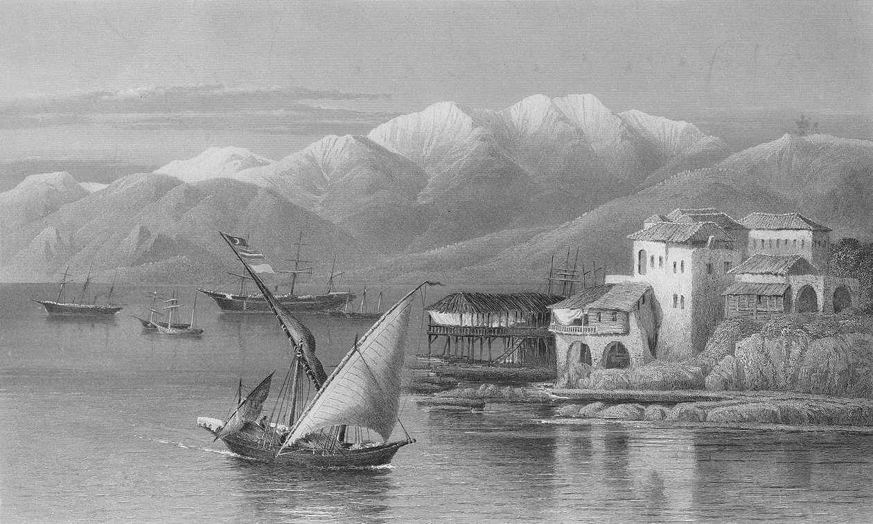 Baía de Beirute, gravada por C. Cousen de John Douglas Woodward