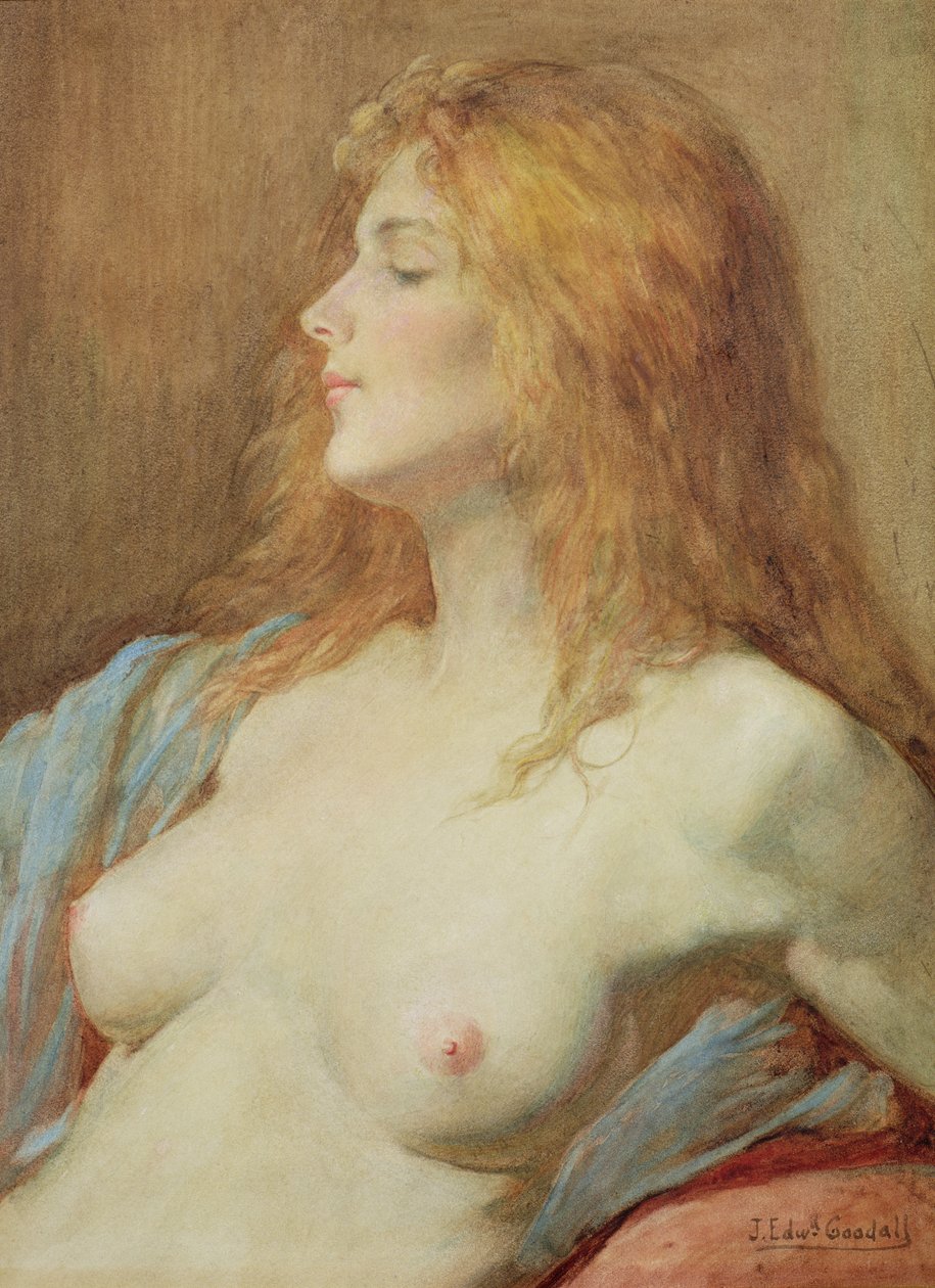 Um ruivo de John Edward Goodall