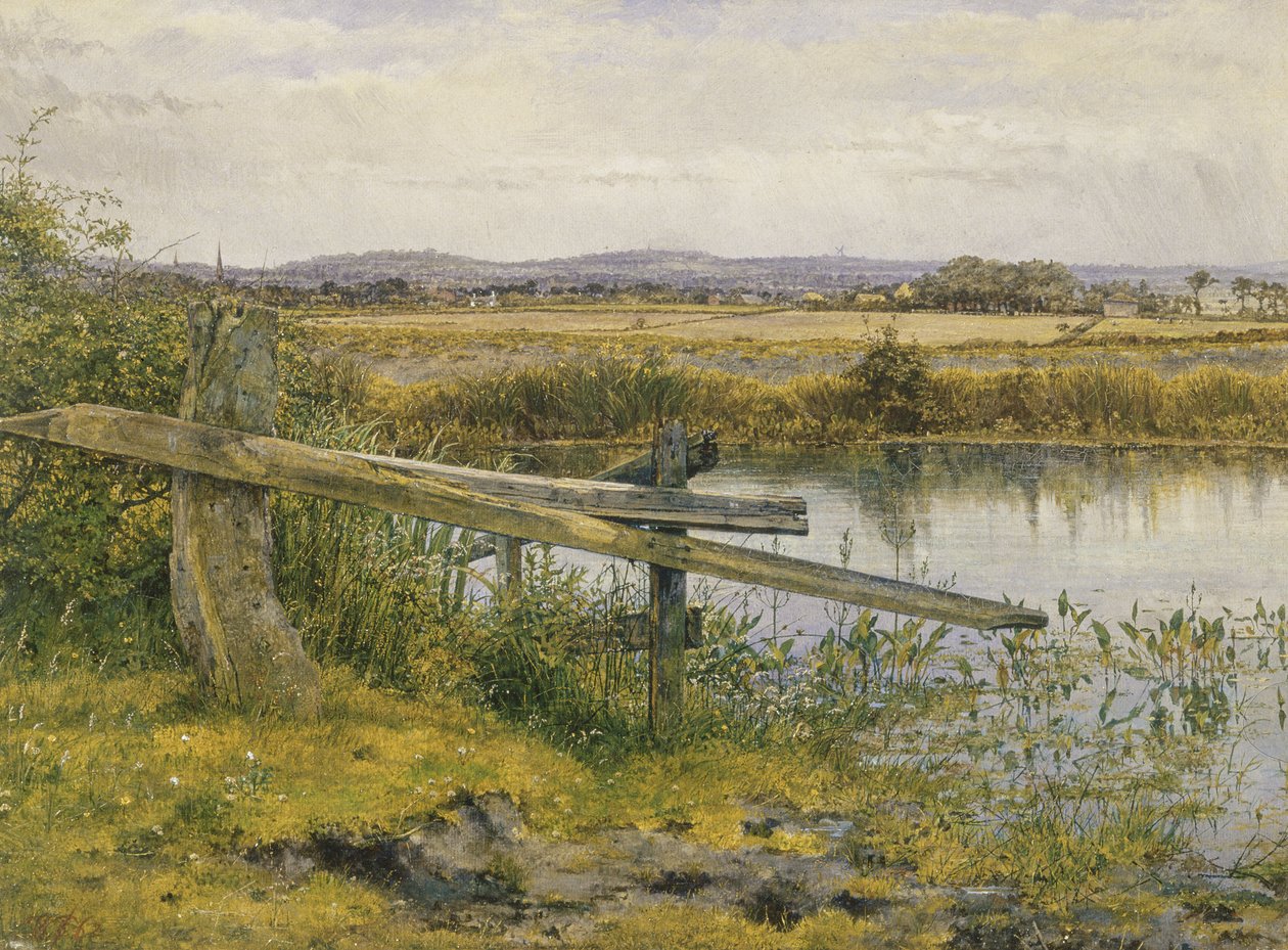 O Riverside, 1862 óleo sobre tela de John Edward Newton