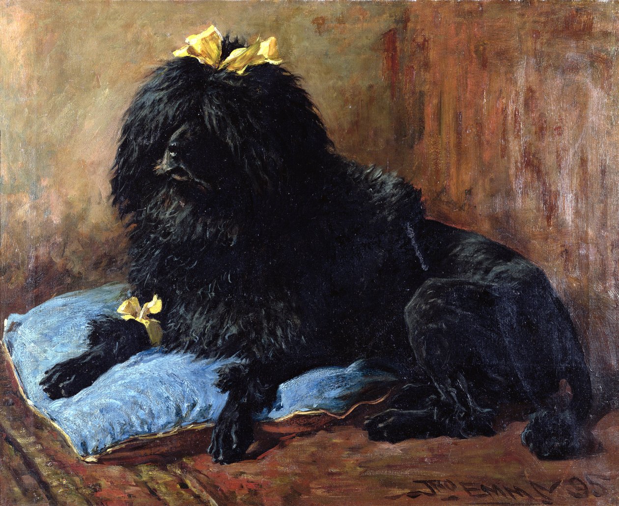 Um poodle preto padrão em uma almofada azul, 1895 de John Emms