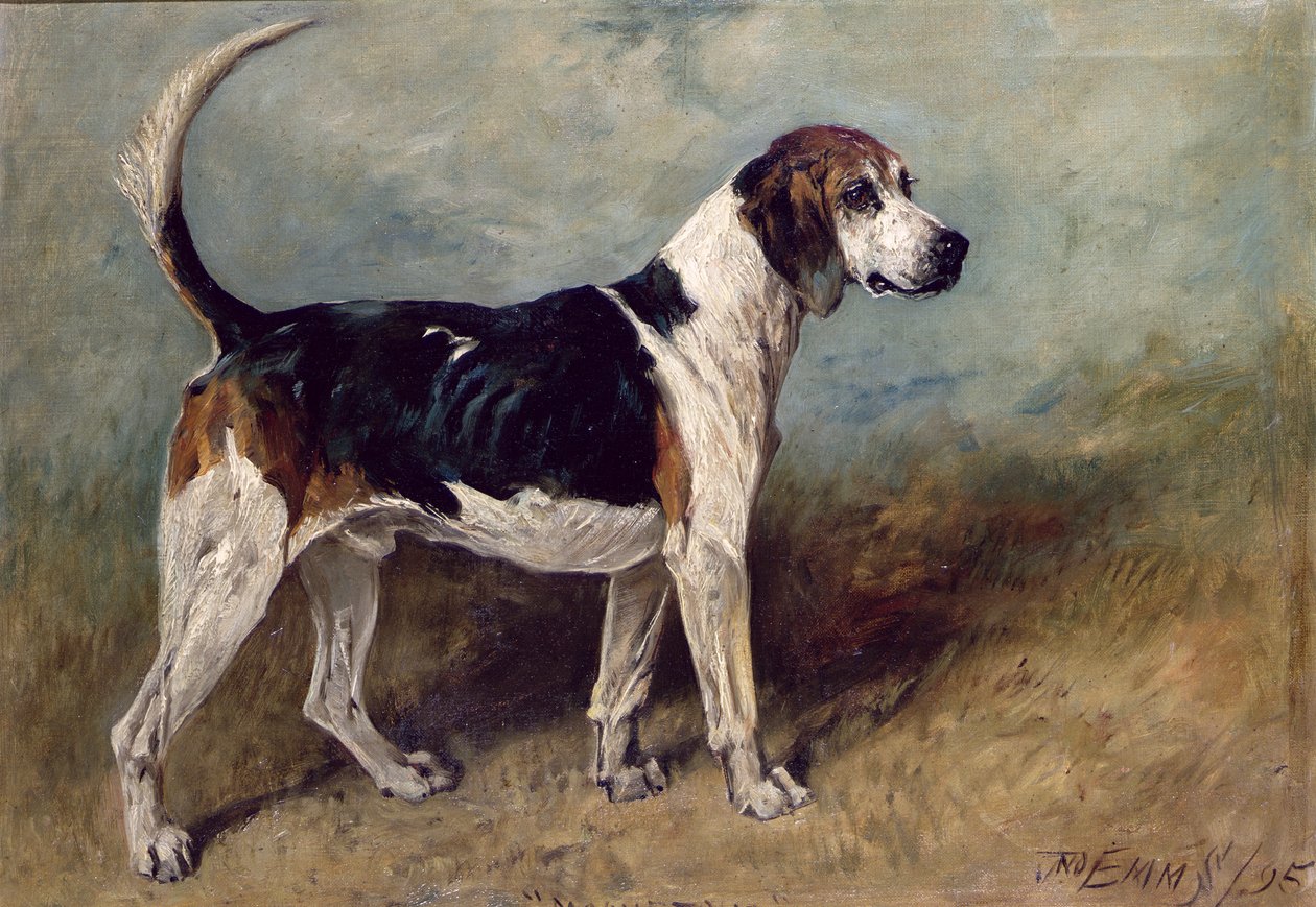 Pedra da Lua, 1895 de John Emms