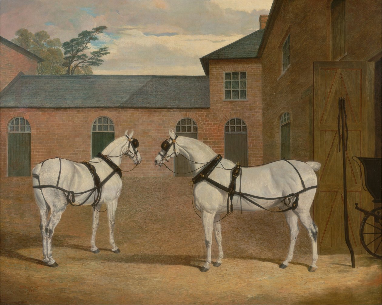 Cavalos de carruagem cinza no estaleiro em Putteridge Bury, Hertfordshire de John F. Herring