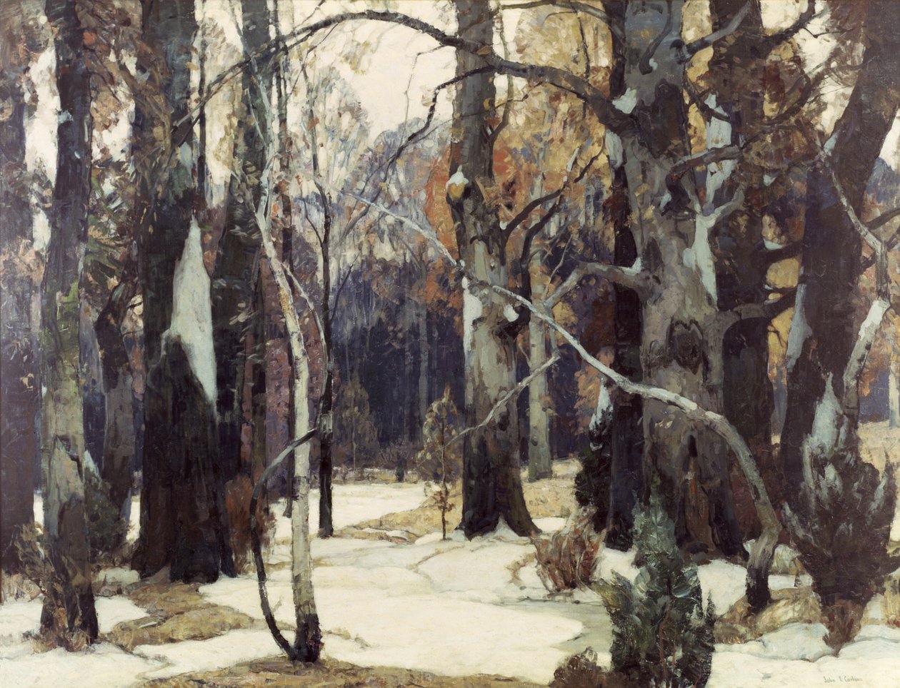 Floresta Vistas, c.1932 de John Fabian Carlson