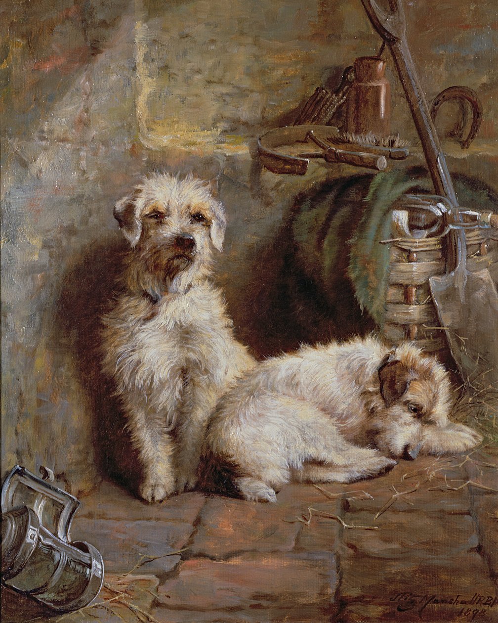 Companheiros de estábulo, 1898 de John Fitz Marshall