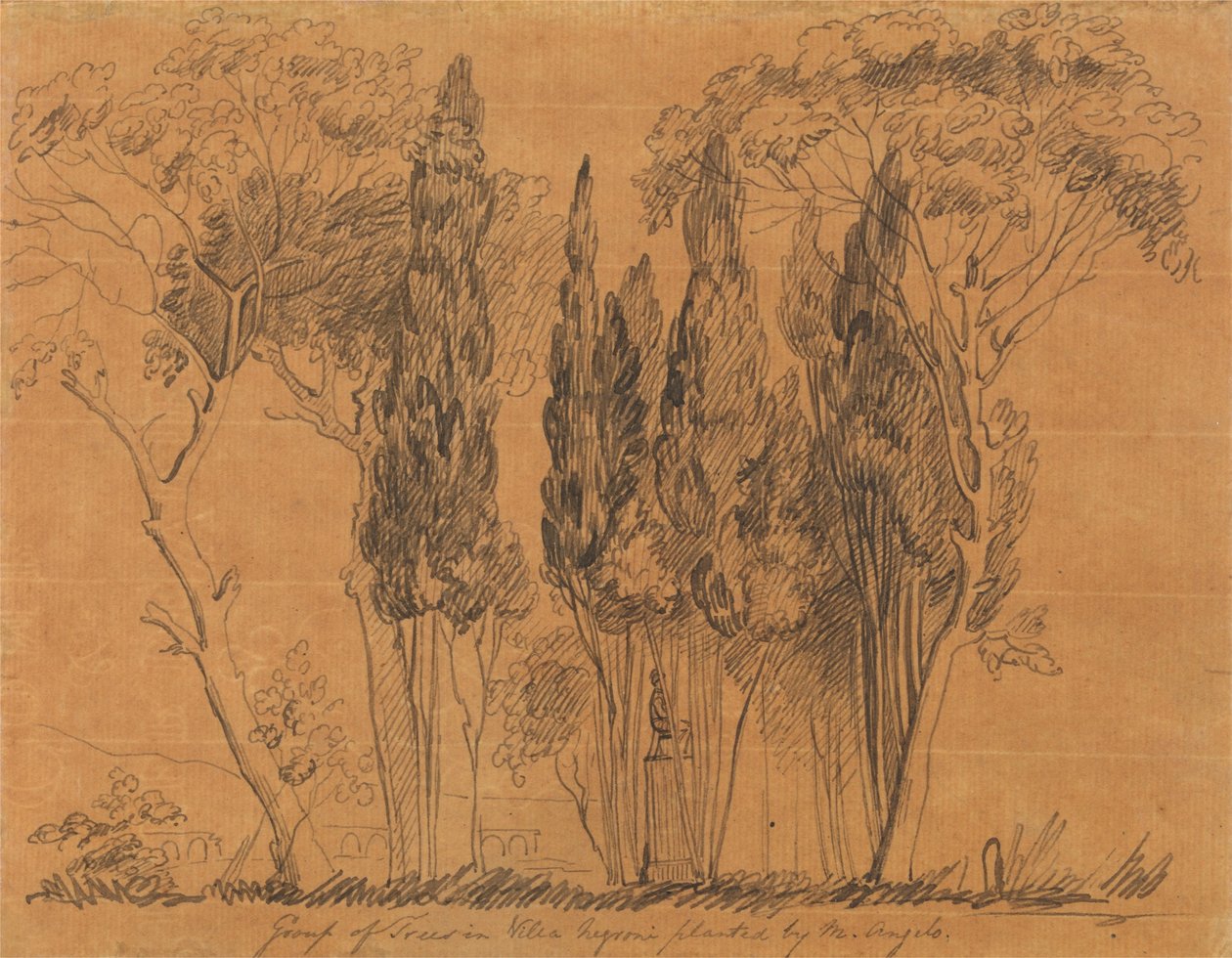 Árvores na Villa Negroni Plantadas por M. Angelo de John Flaxman