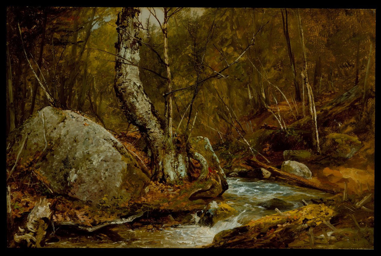 Woodland Interior, c.1850-55 de John Frederick Kensett