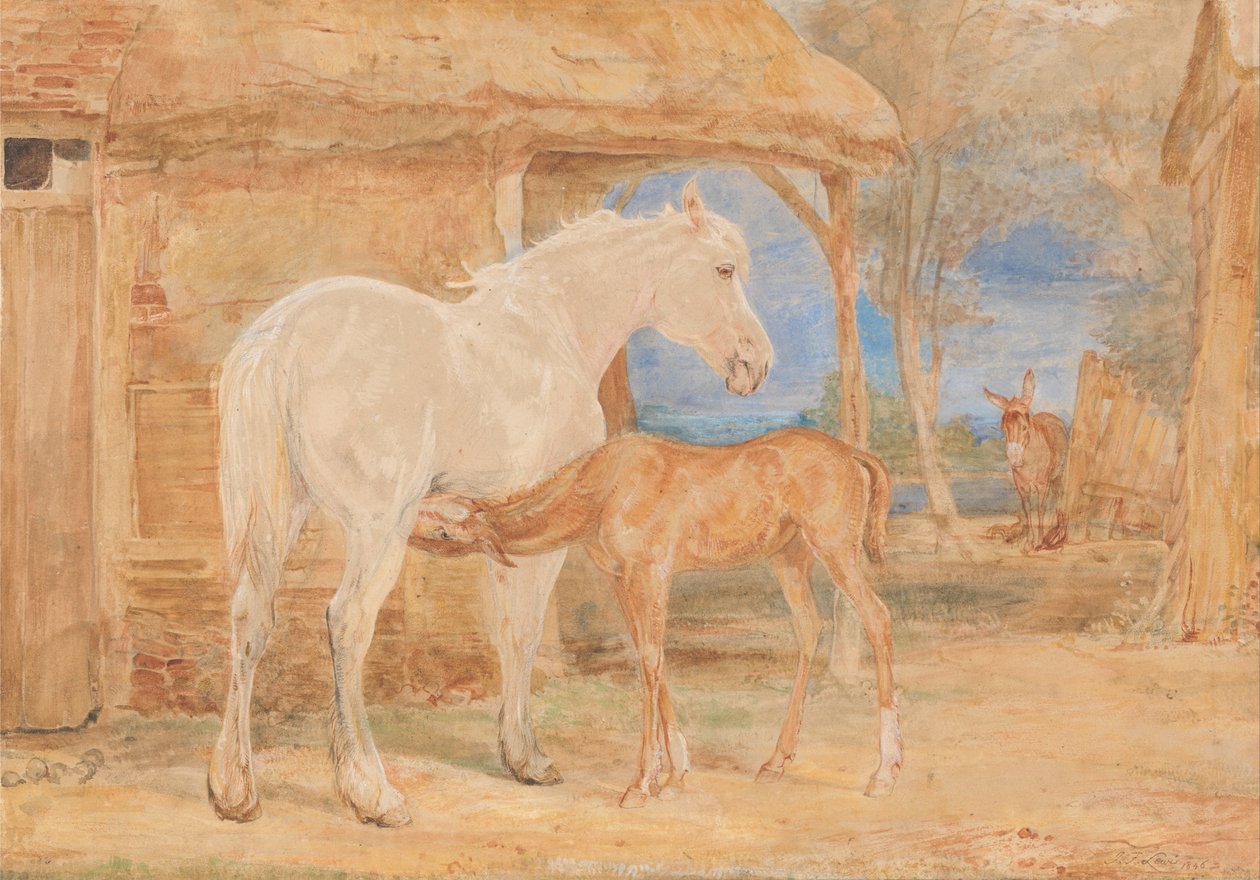 Mare cinza e um potro de castanha de John Frederick Lewis