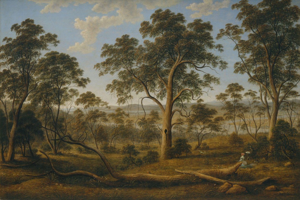 Launceston e o rio Tamar de John Glover