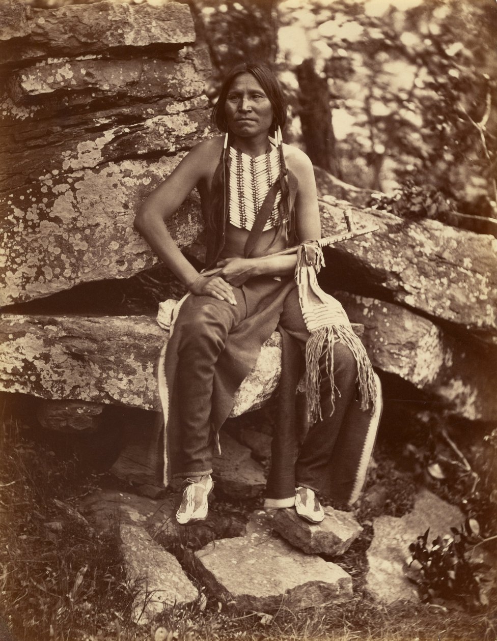 Pequeno urso, cheyenne de John K. Hillers